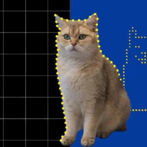 Dünyanın en küçük kedi videosu oluşturuldu