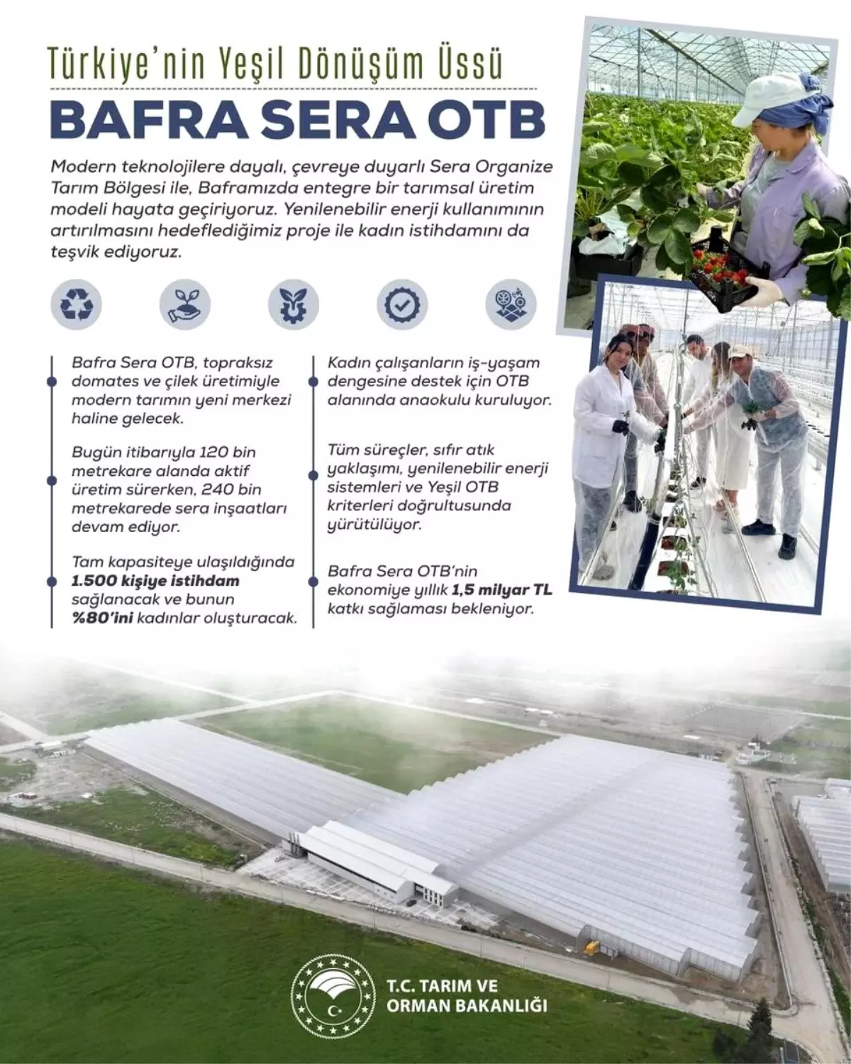 bafra sera organize tarim bolgesi projesi kadin istihdami ve ekonomik katki jsXwgqhC.jpg