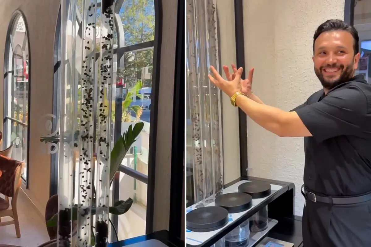 havada ucan kahve yunus cakmaktan kahveye gorsel solenli dokunus MGxu71S5