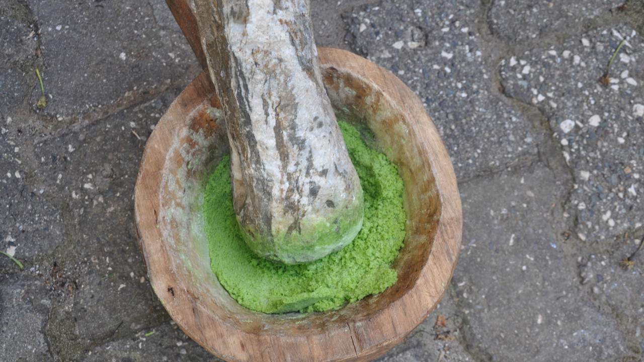 Zuzubak Otu: Akciğer Sağlığının Doğal Kaynağı ve Köylülerin Gelir Kapısı