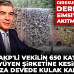 akpli-vekilin-650-kat-buyuyen-sirketine-kesilen-ceza-devede-kulak-kaldi-giresunda-dereyi-simsiyah-792lagq7