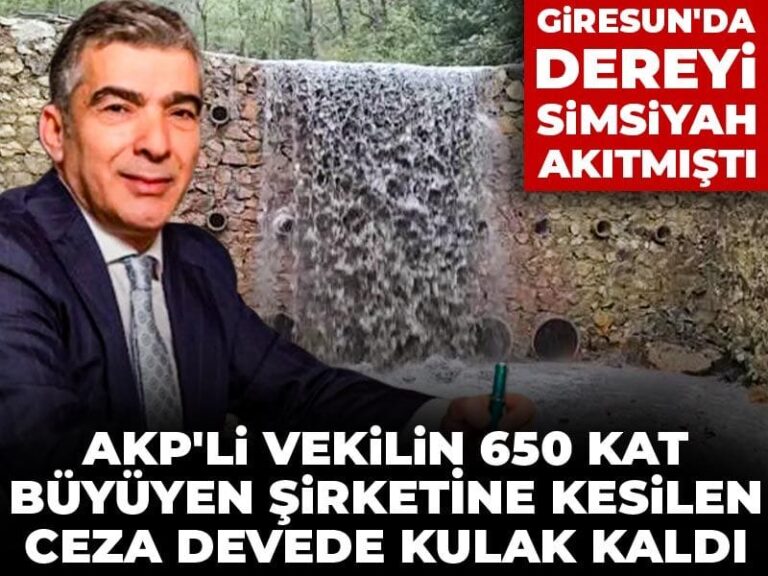 akpli-vekilin-650-kat-buyuyen-sirketine-kesilen-ceza-devede-kulak-kaldi-giresunda-dereyi-simsiyah-792lagq7