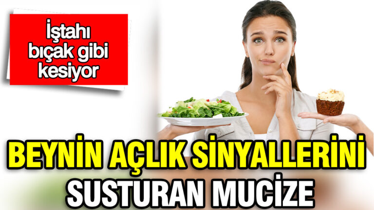 beynin-aclik-sinyallerini-susturan-mucize-2026nin-istah-kesen-gizli-kahramanlari-d88QItvT