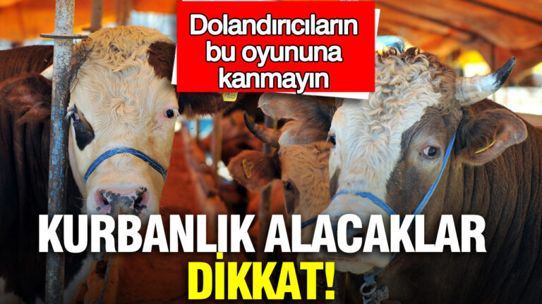 kurbanlik-alacaklar-dikkat-dolandiricilarin-bu-oyununa-kanmayin-KN6pPLk3